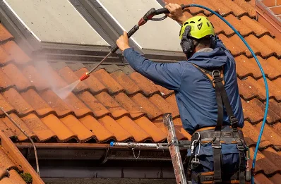 Démoussage et hydrofuge de toiture à Bosroumois